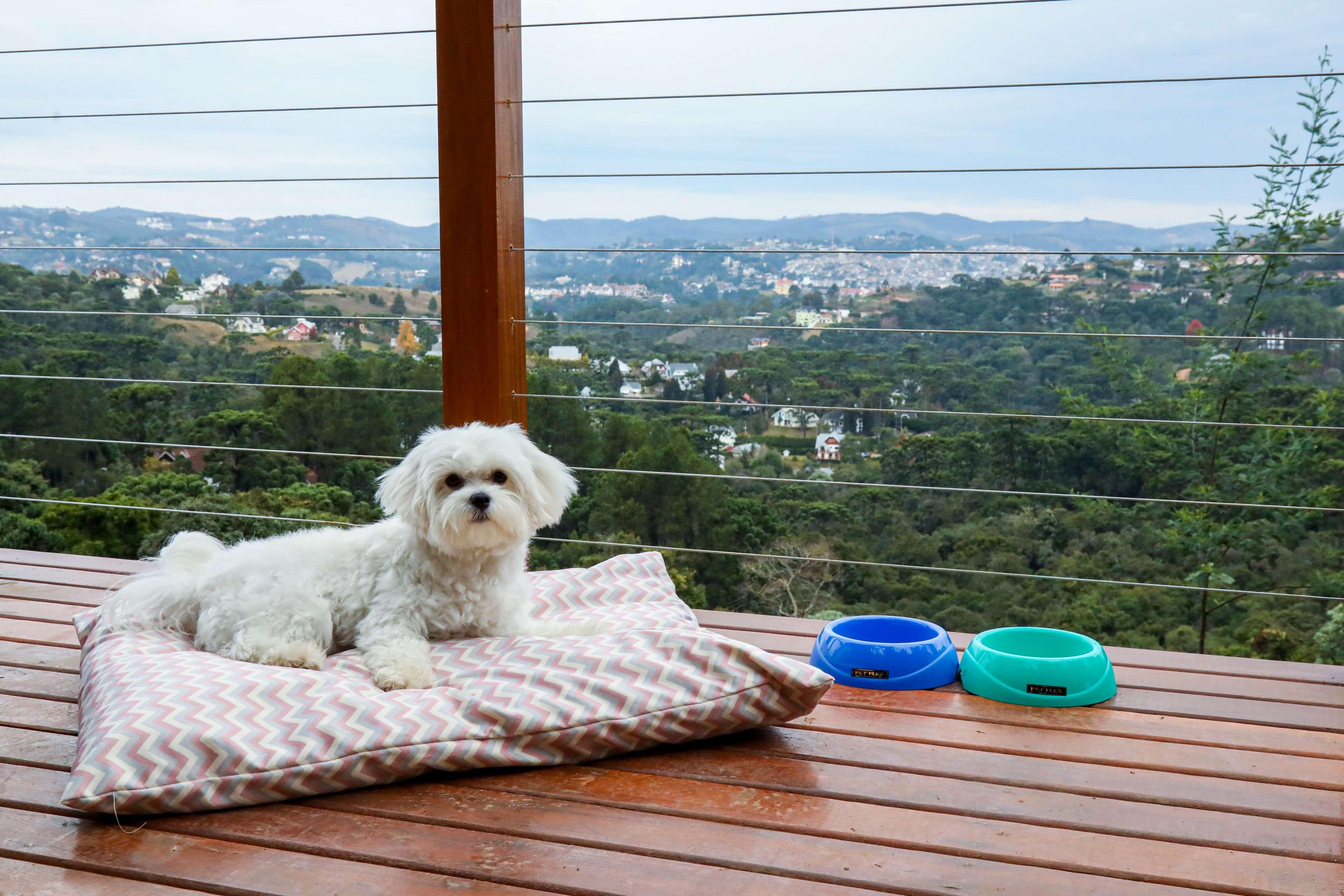 Carpe Diem Boutique E Spa Campos do Jordao Luaran gambar